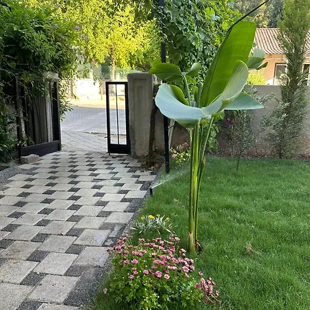Alas Garden Fethiye